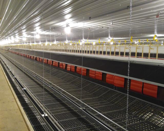 breeder layer Interior