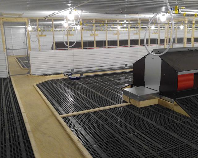 breeder layer Interior