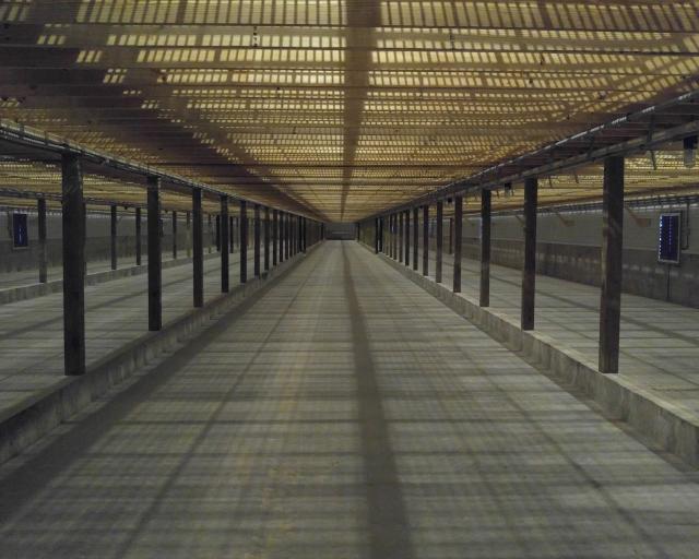 breeder layer Pit Interior