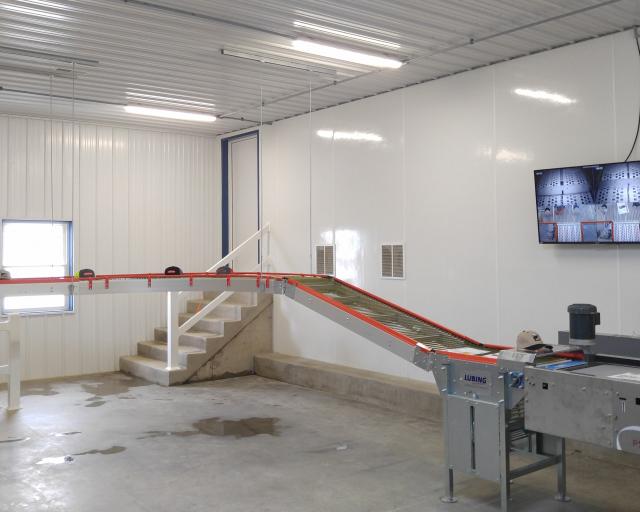 breeder layer Processing Area