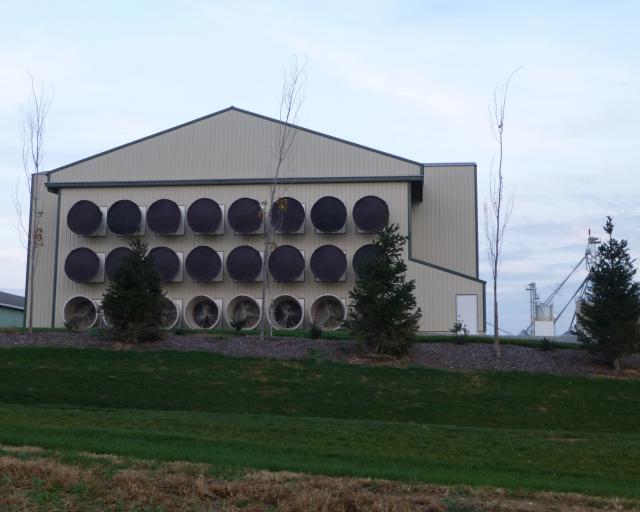 Exterior of caged layer house