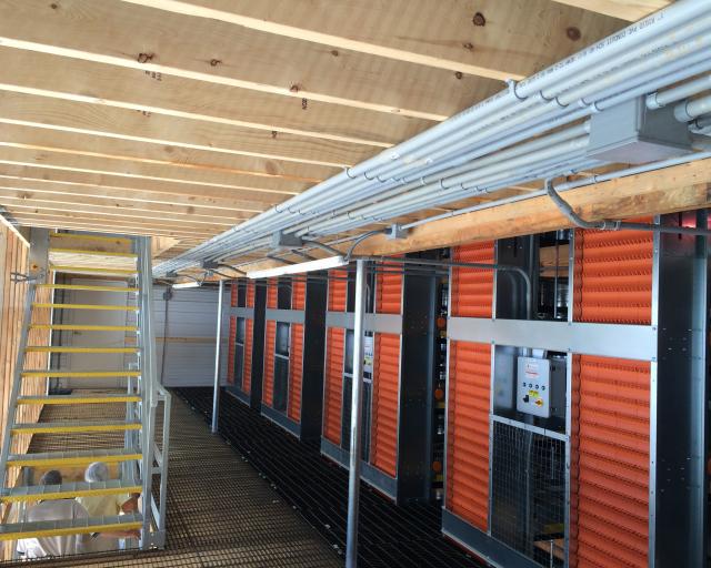 caged layer house Interior