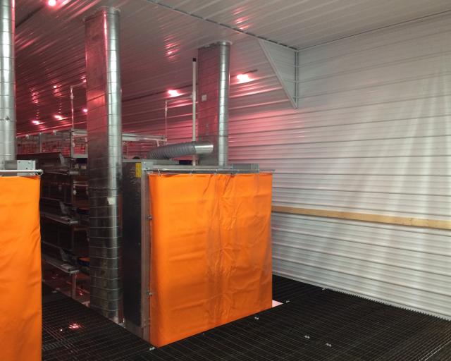 caged layer house Interior