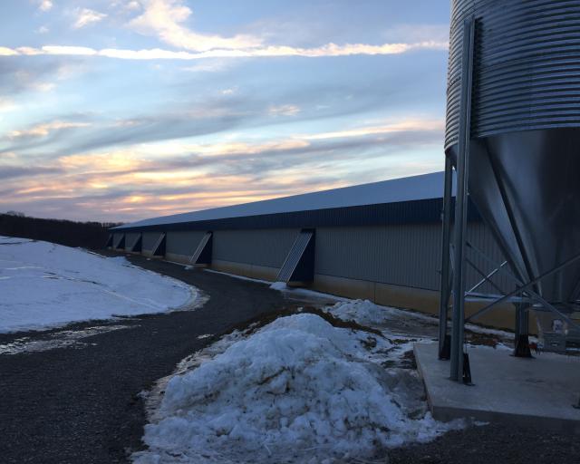 Exterior of breeder layer