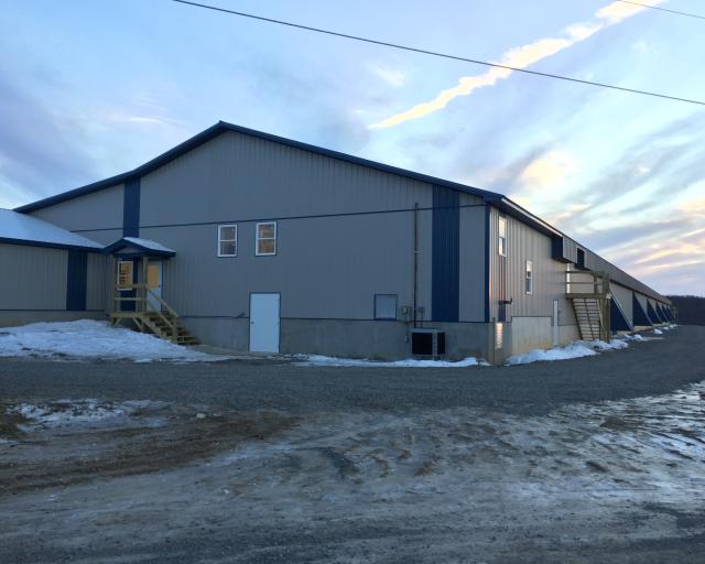 Exterior of breeder layer